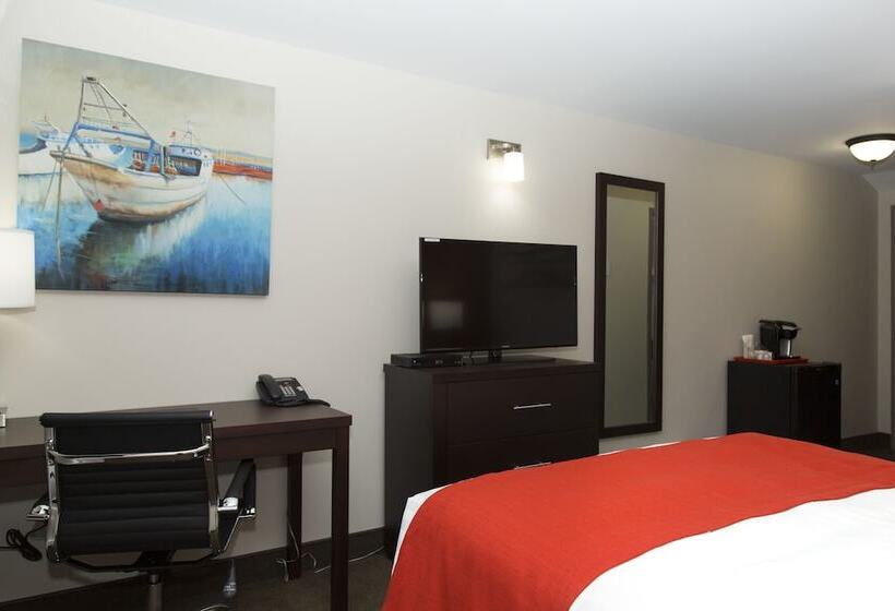 Отель Robin Hood