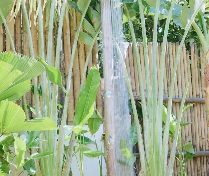 هتل Talisay Boutique