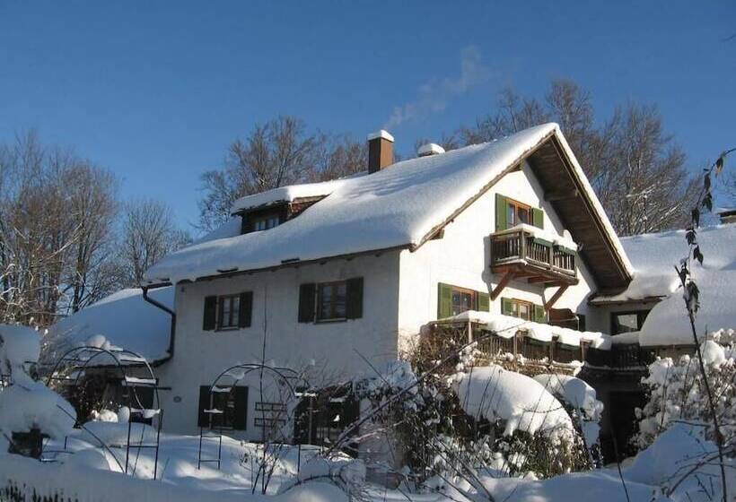 Martina S Place Bed & Breakfast