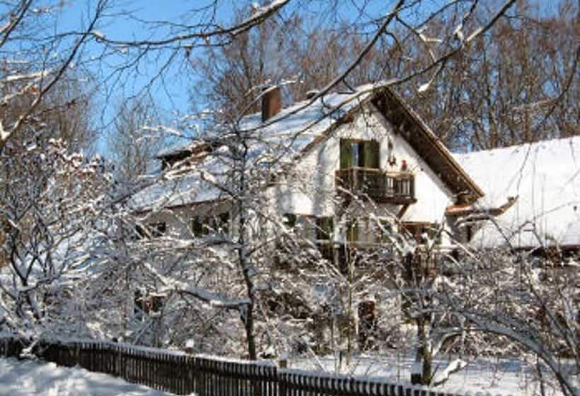 Martina S Place Bed & Breakfast