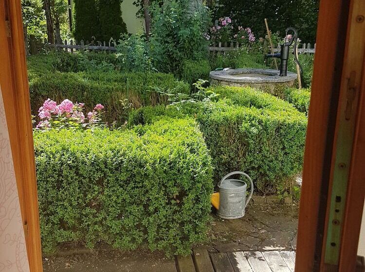 Martina S Place Bed & Breakfast