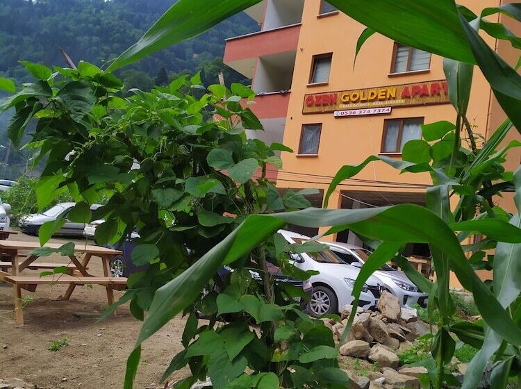 Ozen Golden Aparts