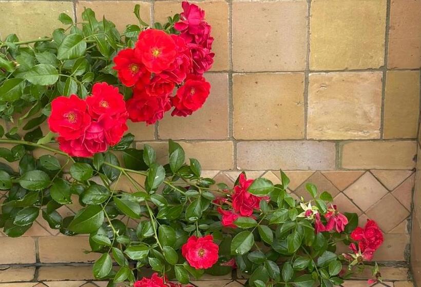 펜션 B&b Les 4 Mondes