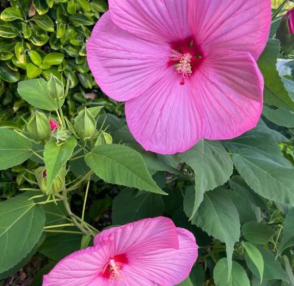 펜션 B&b Les 4 Mondes