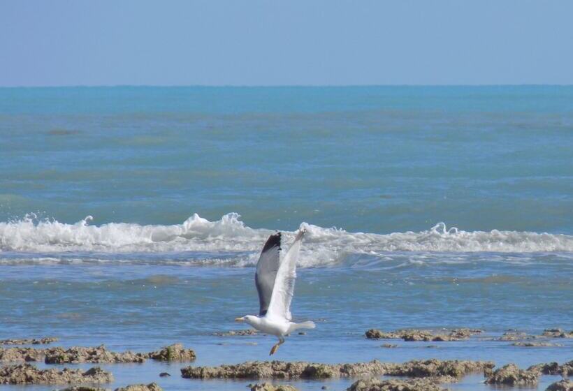 膳宿费 Dar Mamina