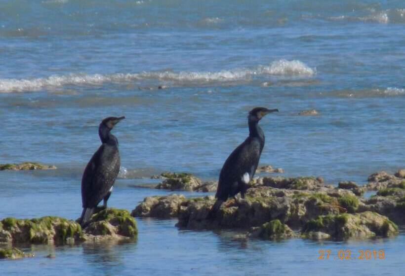 膳宿费 Dar Mamina