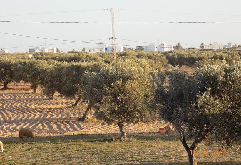 膳宿费 Dar Mamina