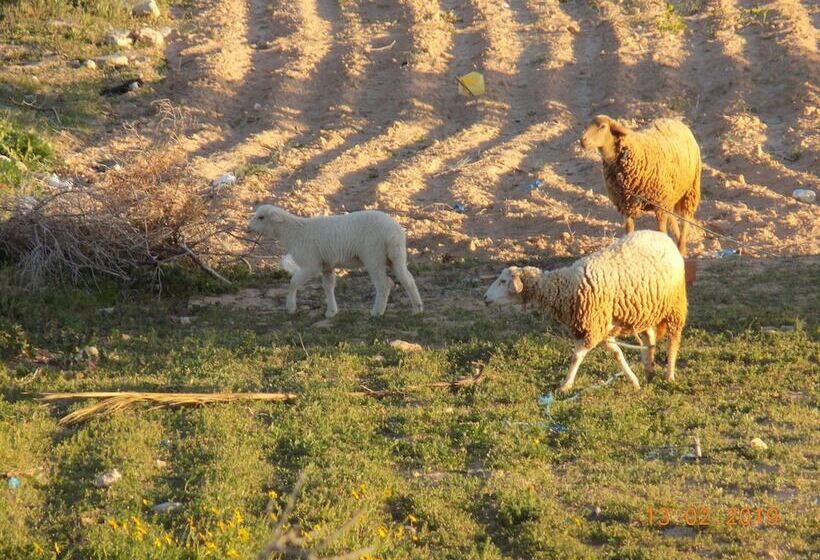 膳宿费 Dar Mamina