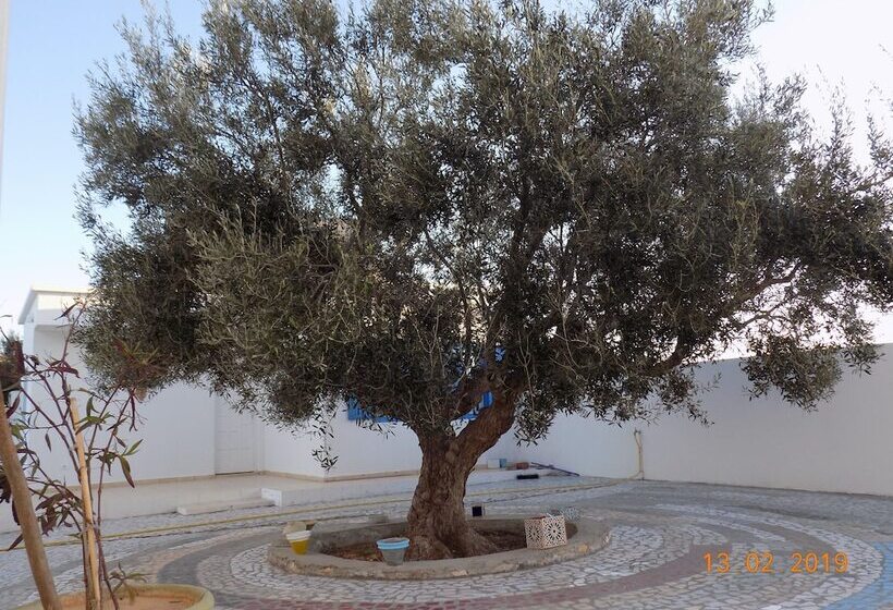 膳宿费 Dar Mamina