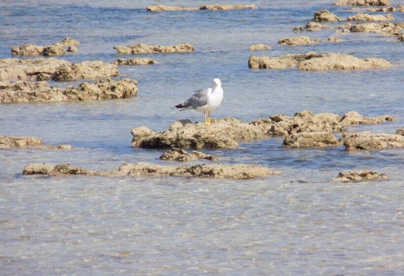 膳宿费 Dar Mamina