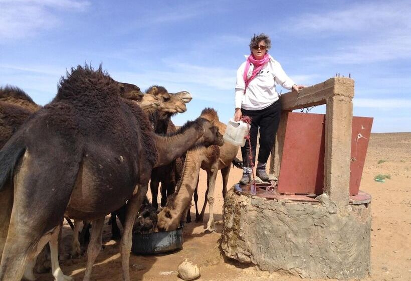 پانسیون Dar Sidi Bounou