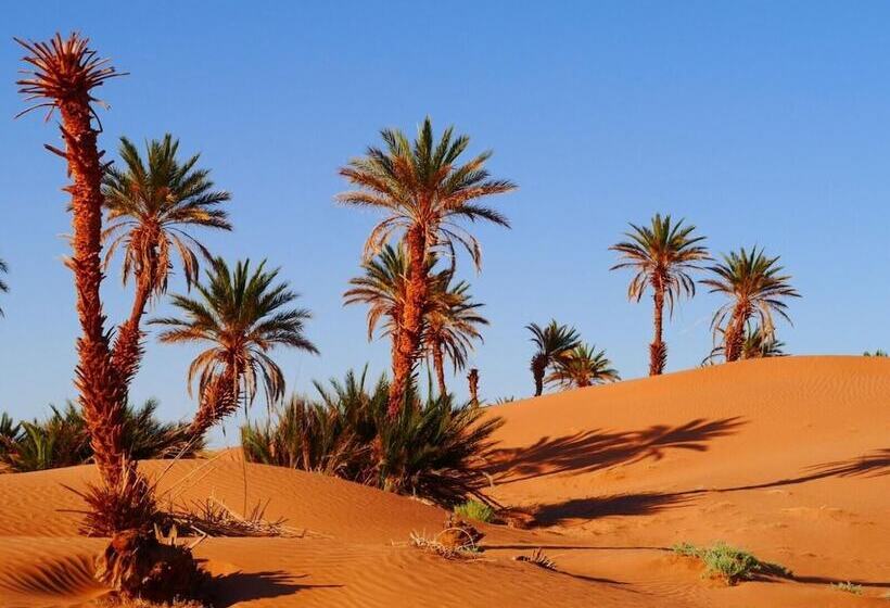 펜션 Dar Sidi Bounou