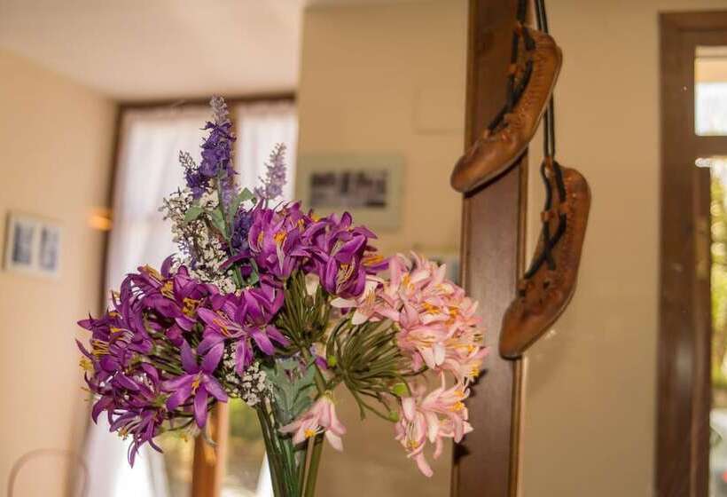 פנסיון Es Neres