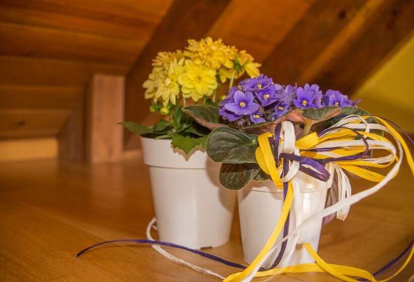 פנסיון Es Neres