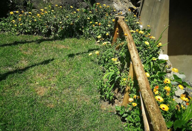 ペンション Inka Khawarina Tambo Lodge