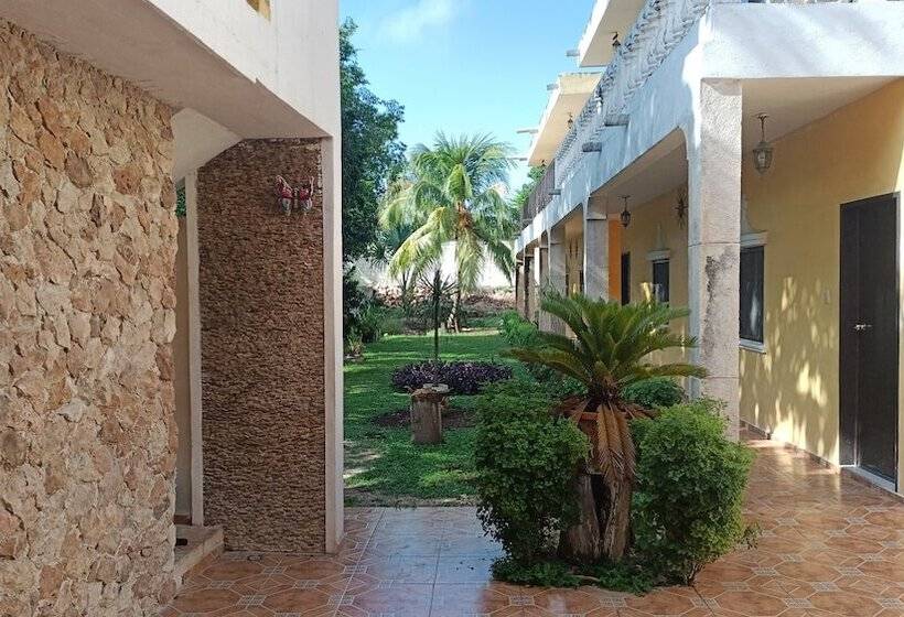 פנסיון La Paloma