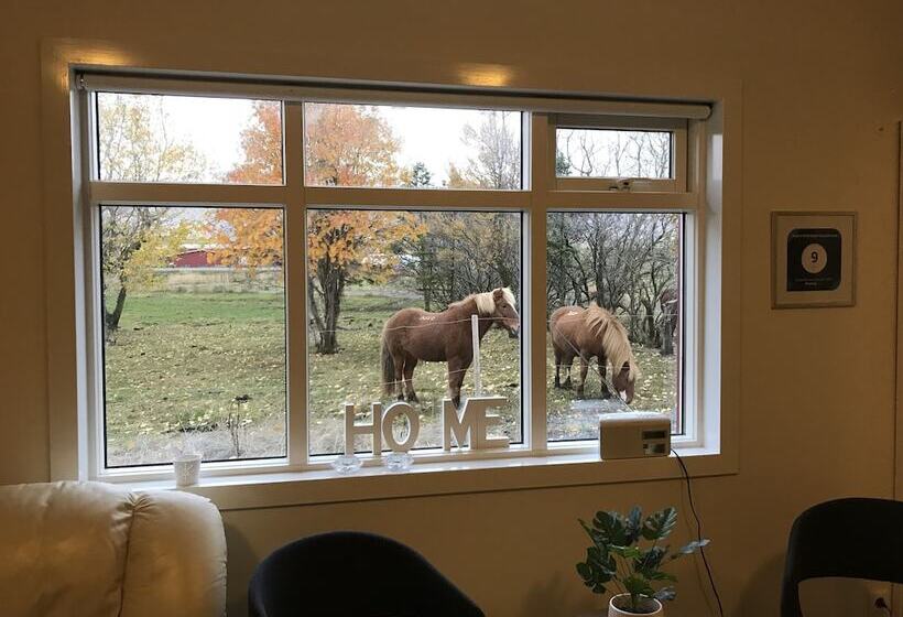 پانسیون Syðra Skörðugil Guesthouse