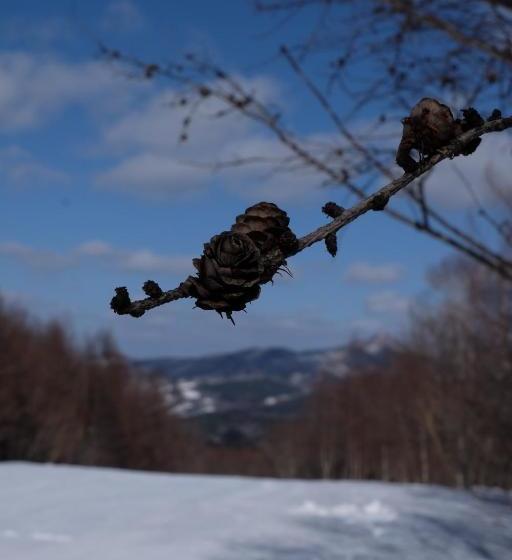 Appikogen Pension Mutti
