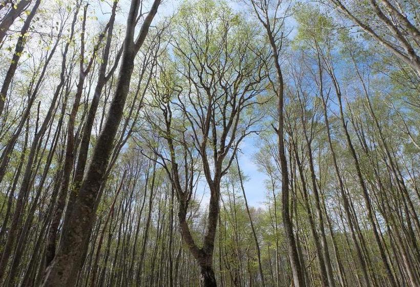 Appikogen Pension Mutti