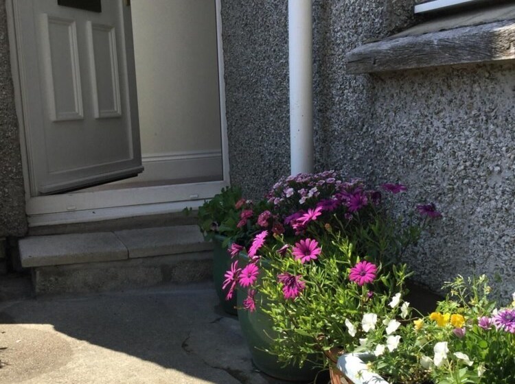 Penwyn Bed And Breakfast