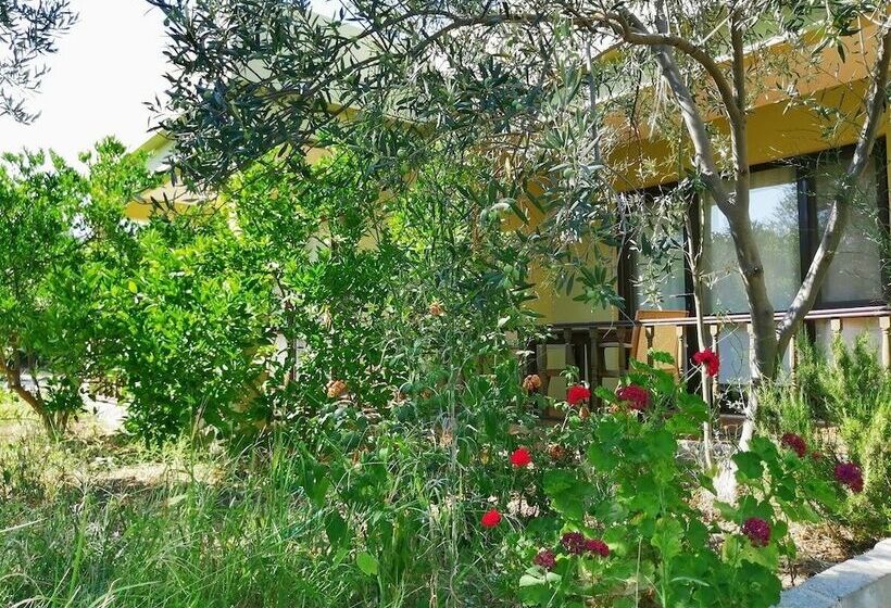 Assos Büyük Yıldızsaray Otel