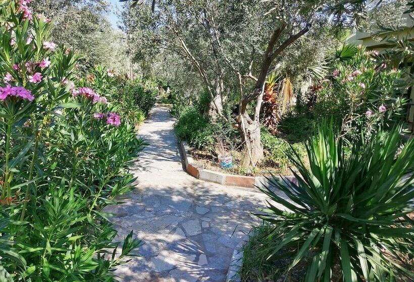 Assos Büyük Yıldızsaray Otel