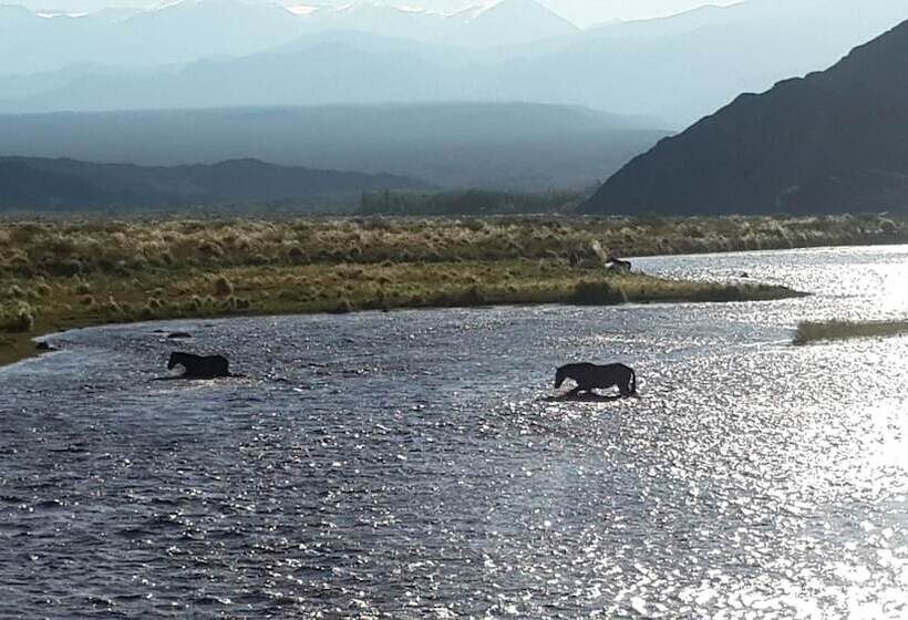 Complejo Río Los Patos   Cabañas Y Hostel