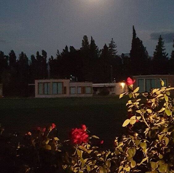 Complejo Río Los Patos   Cabañas Y Hostel