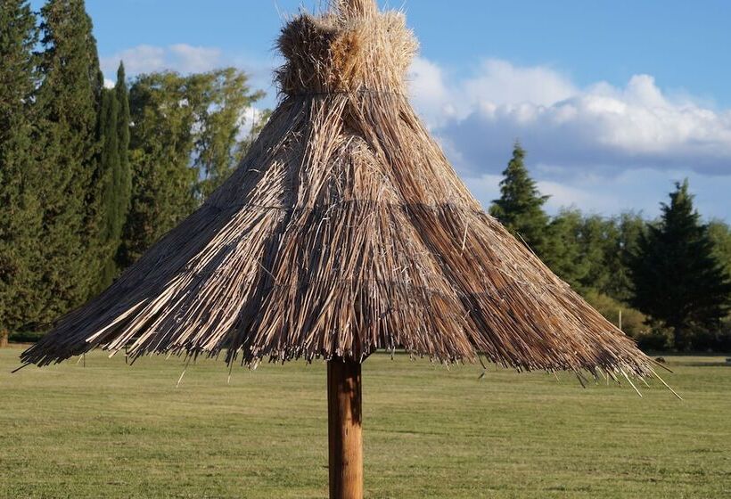 Complejo Río Los Patos   Cabañas Y Hostel