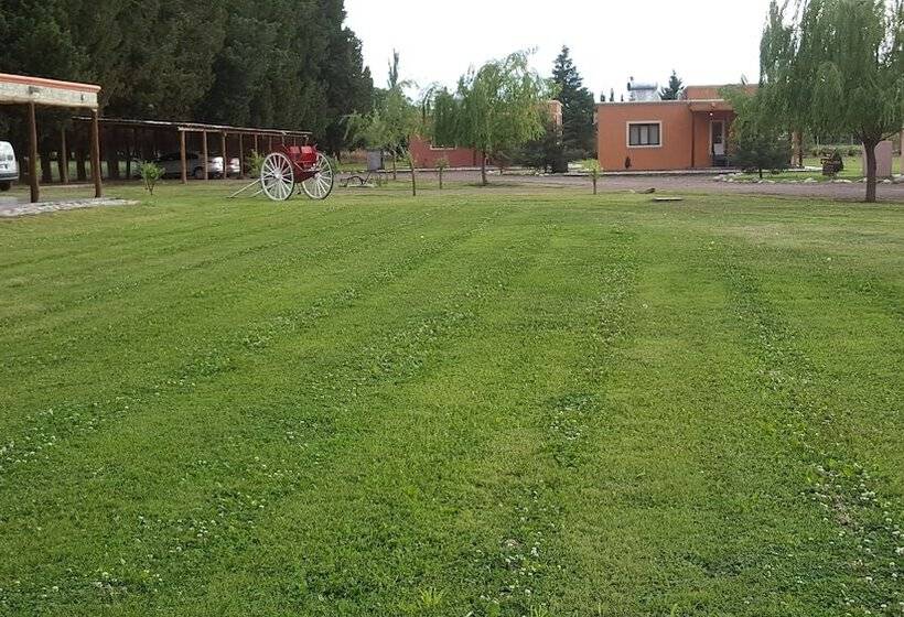 Complejo Río Los Patos   Cabañas Y Hostel