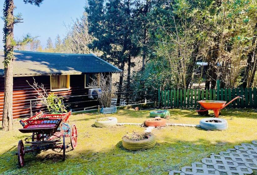 ホテル Agva Orman Evleri Forest Lodge