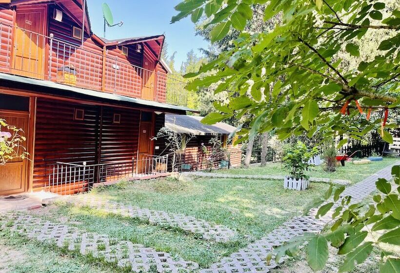 ホテル Agva Orman Evleri Forest Lodge