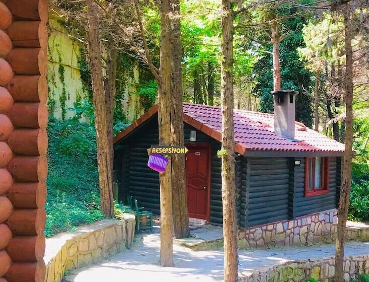 ホテル Agva Orman Evleri Forest Lodge