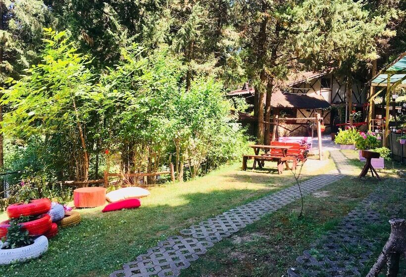 ホテル Agva Orman Evleri Forest Lodge