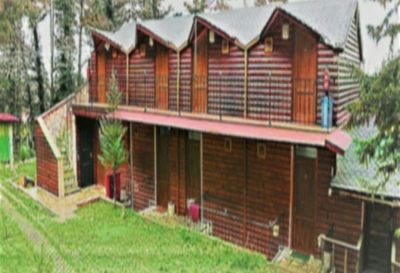 ホテル Agva Orman Evleri Forest Lodge
