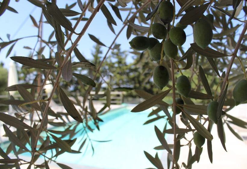 בית מלון כפרי Casa Manolesos