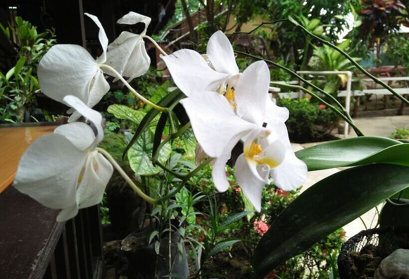 هتل Cliffside Cottages