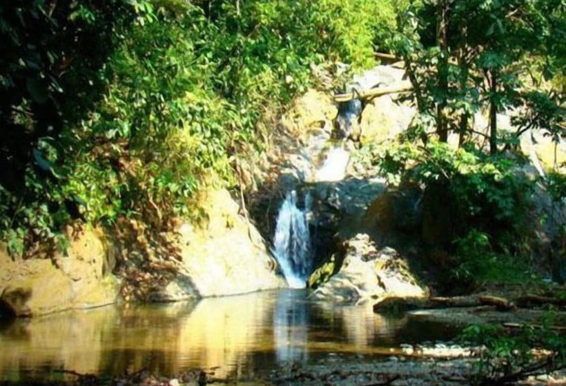 ホテル La Gamba Rainforest Lodge