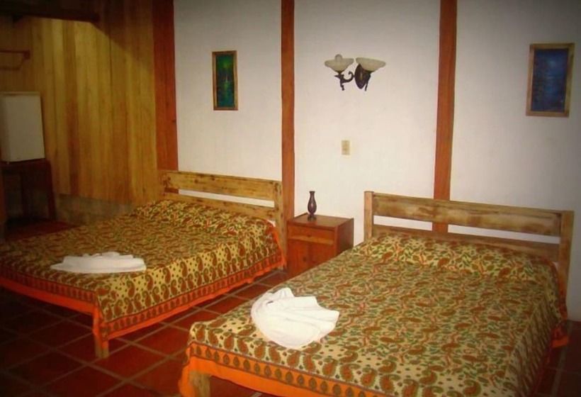 ホテル La Gamba Rainforest Lodge