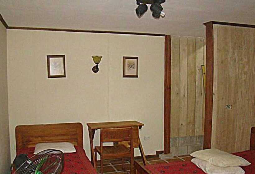 ホテル La Gamba Rainforest Lodge