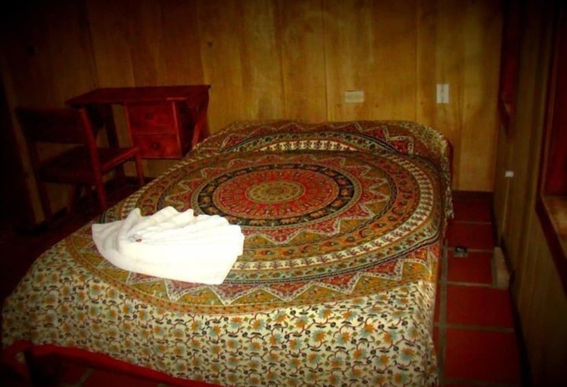 ホテル La Gamba Rainforest Lodge