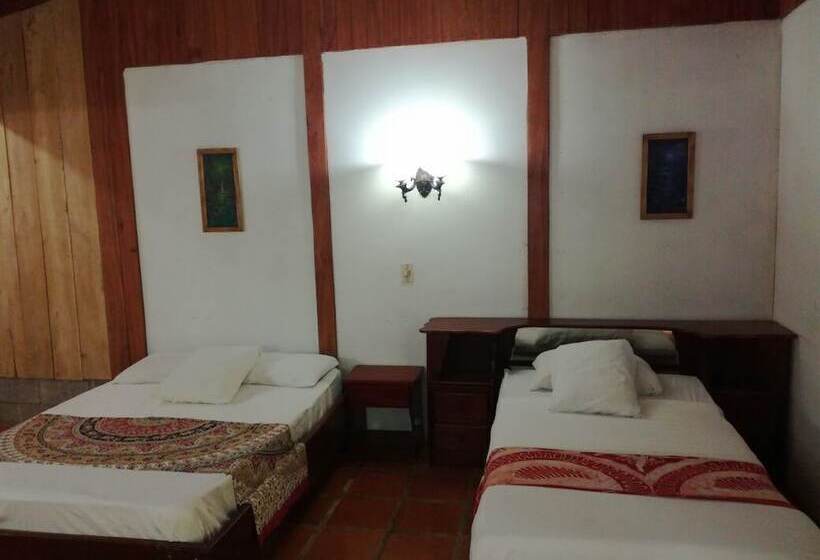 ホテル La Gamba Rainforest Lodge