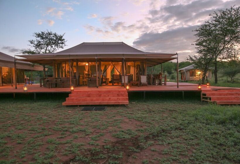 בית מלון כפרי Serengeti Acacia Central Camp