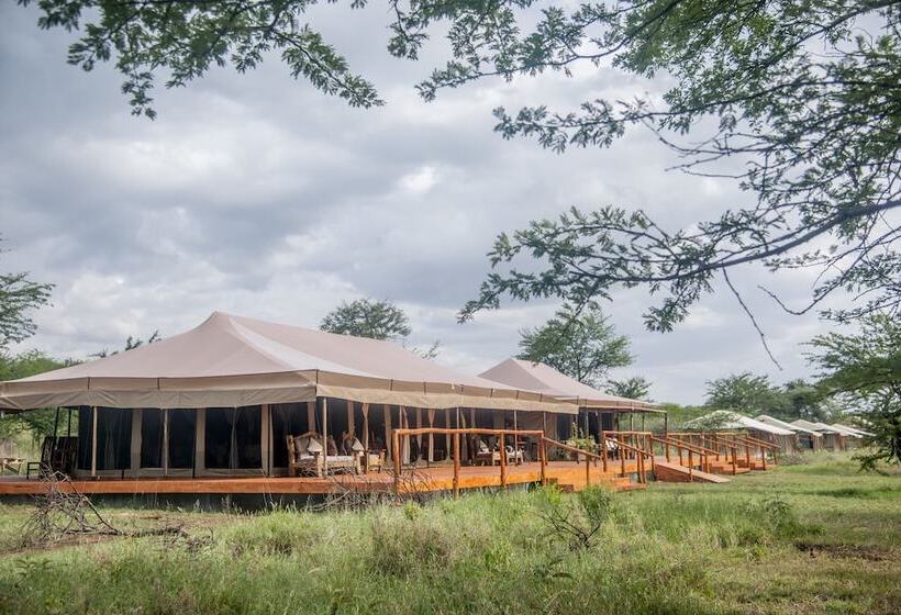 בית מלון כפרי Serengeti Acacia Central Camp