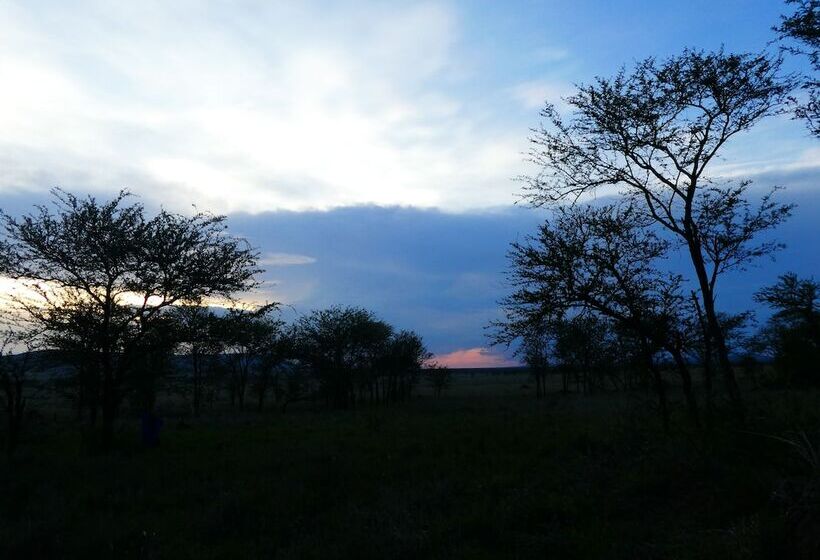 בית מלון כפרי Serengeti Acacia Central Camp