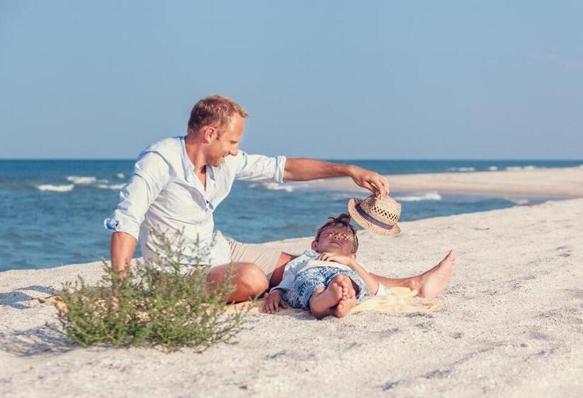 Lion Apartments   Scandi Love Ii