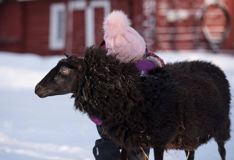 Maatilamatkailu Ilomäki