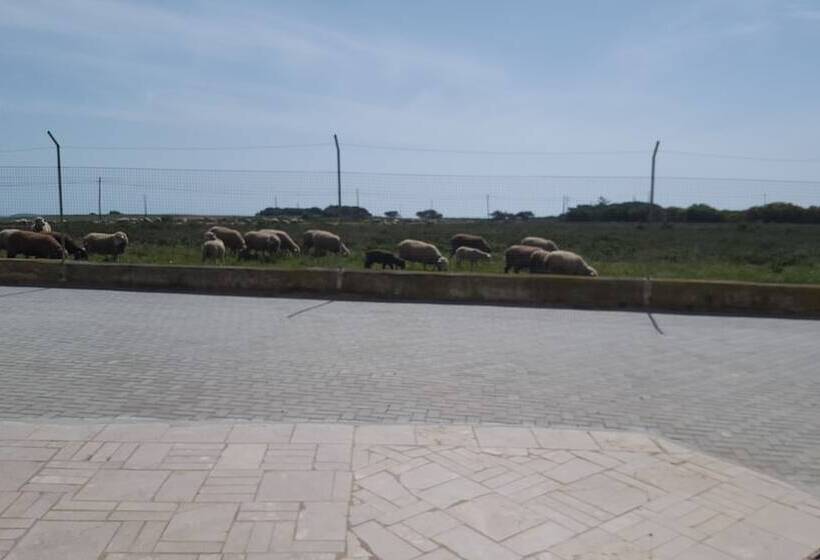 بنسيون Abrigo Das Nortadas