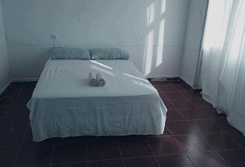 بنسيون Ayurvida