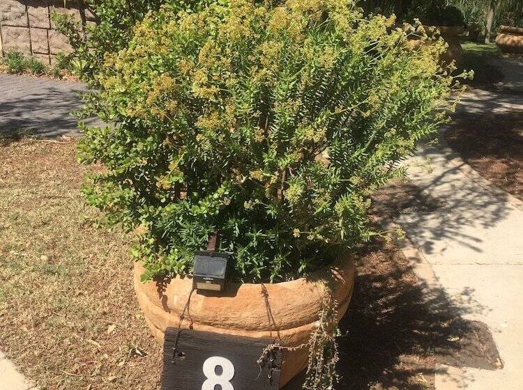 بنسيون Country Park